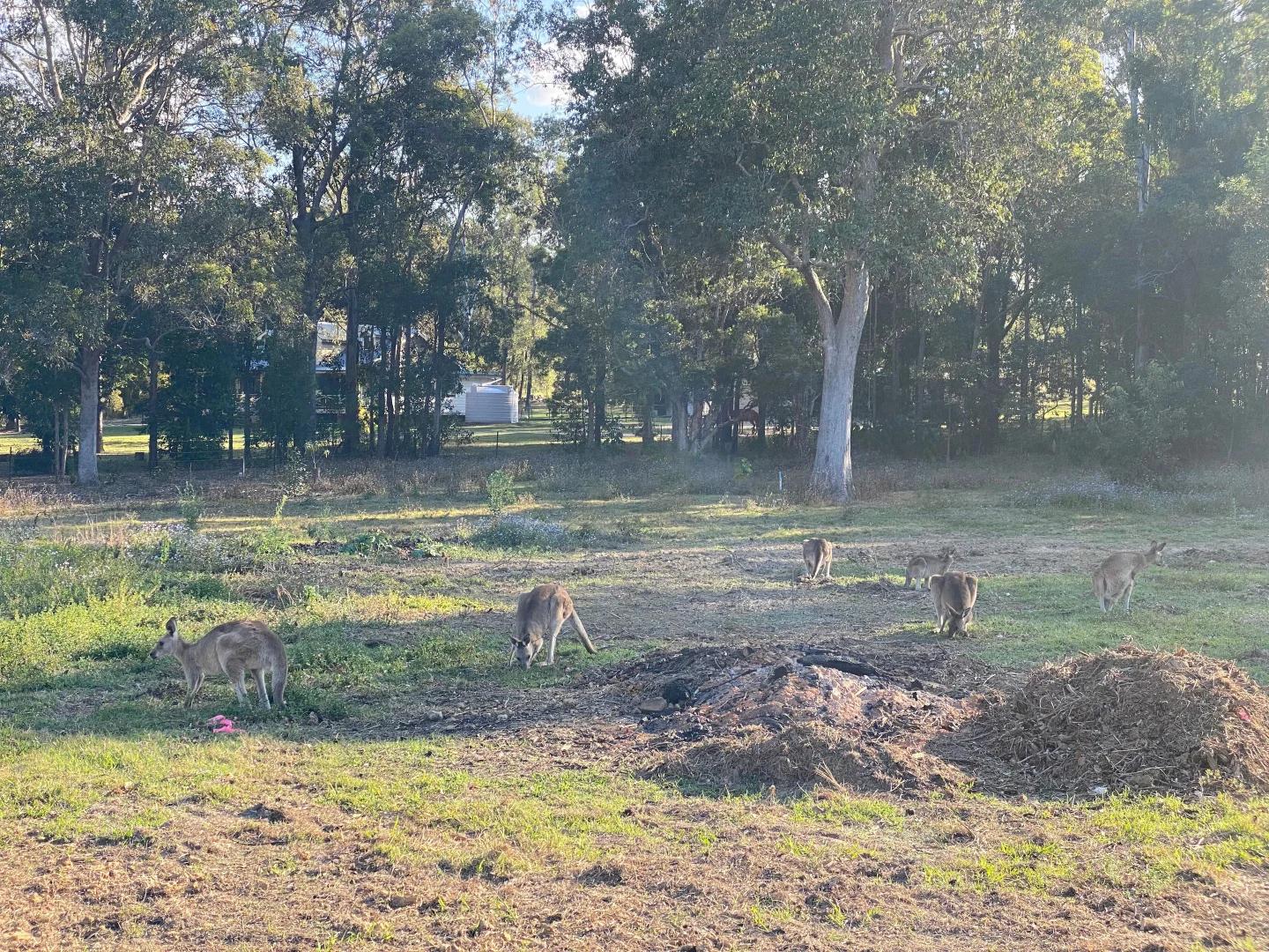 Additional image 4 of Lot 6/45 Richards Court, Bellmere QLD 4510