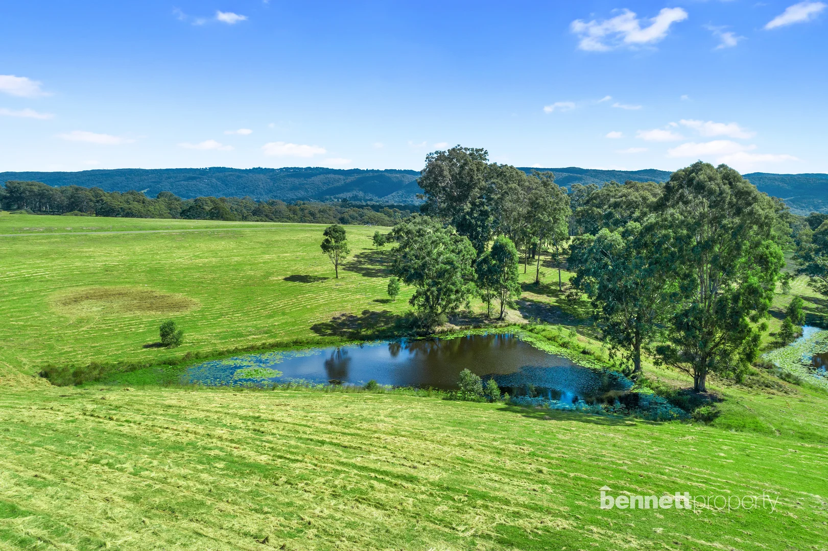 Additional image 8 of 463 Comleroy Road, Kurrajong NSW 2758