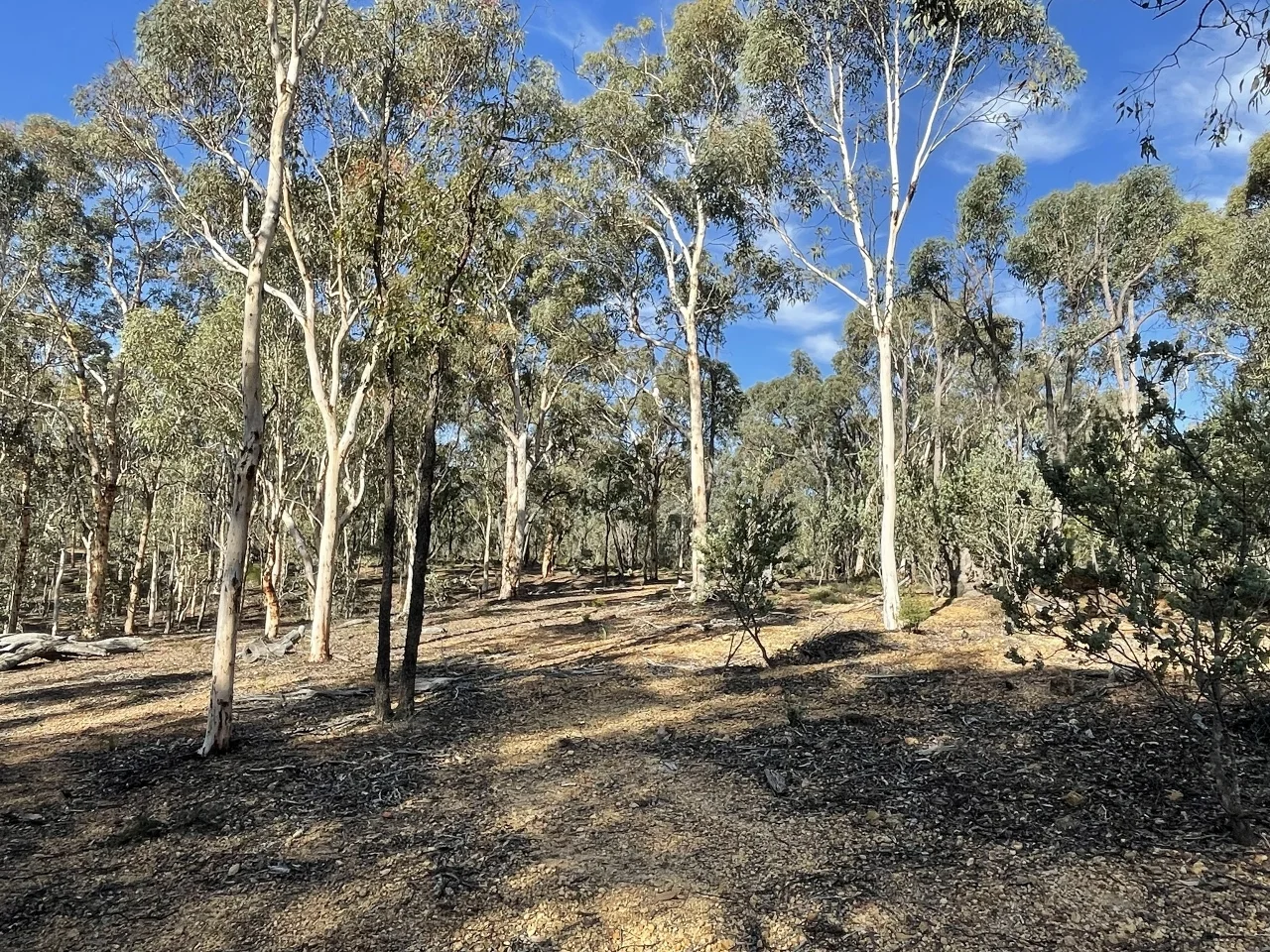 Additional image 18 of 200 Gumley Road, Bakers Hill WA 6562