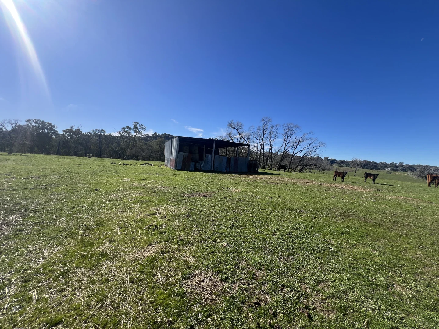 Additional image 7 of Cheesley Gate Road, Indigo Valley VIC 3688