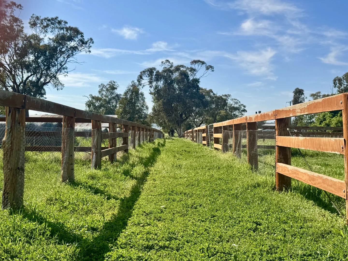 Additional image 16 of "Glenaladale" 167 Mooki Springs Road, Quirindi NSW 2343