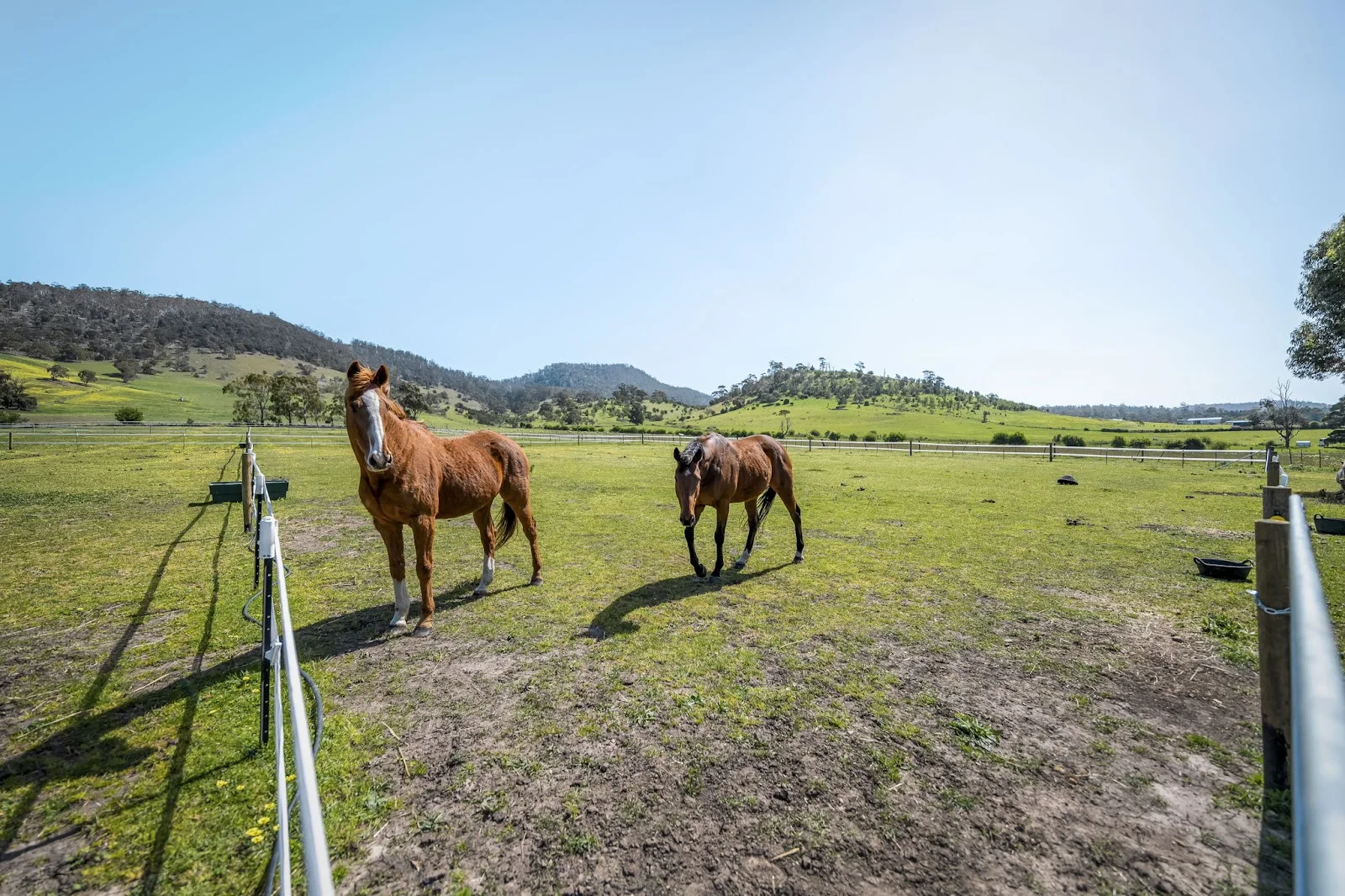 Additional image 25 of 1455 Midland Highway, Bagdad TAS 7030