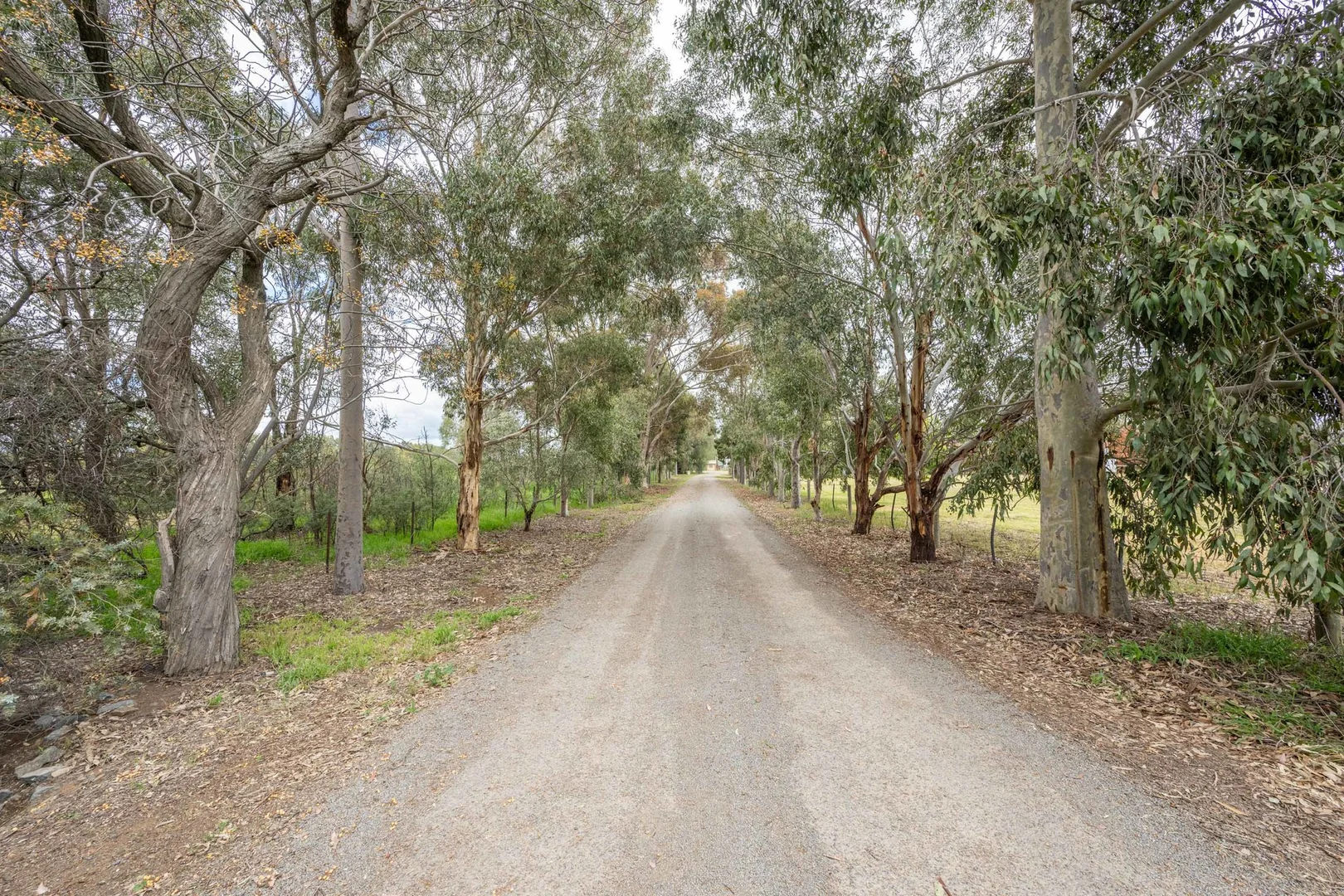Additional image 29 of 145 Lane Road, Katandra West VIC 3634