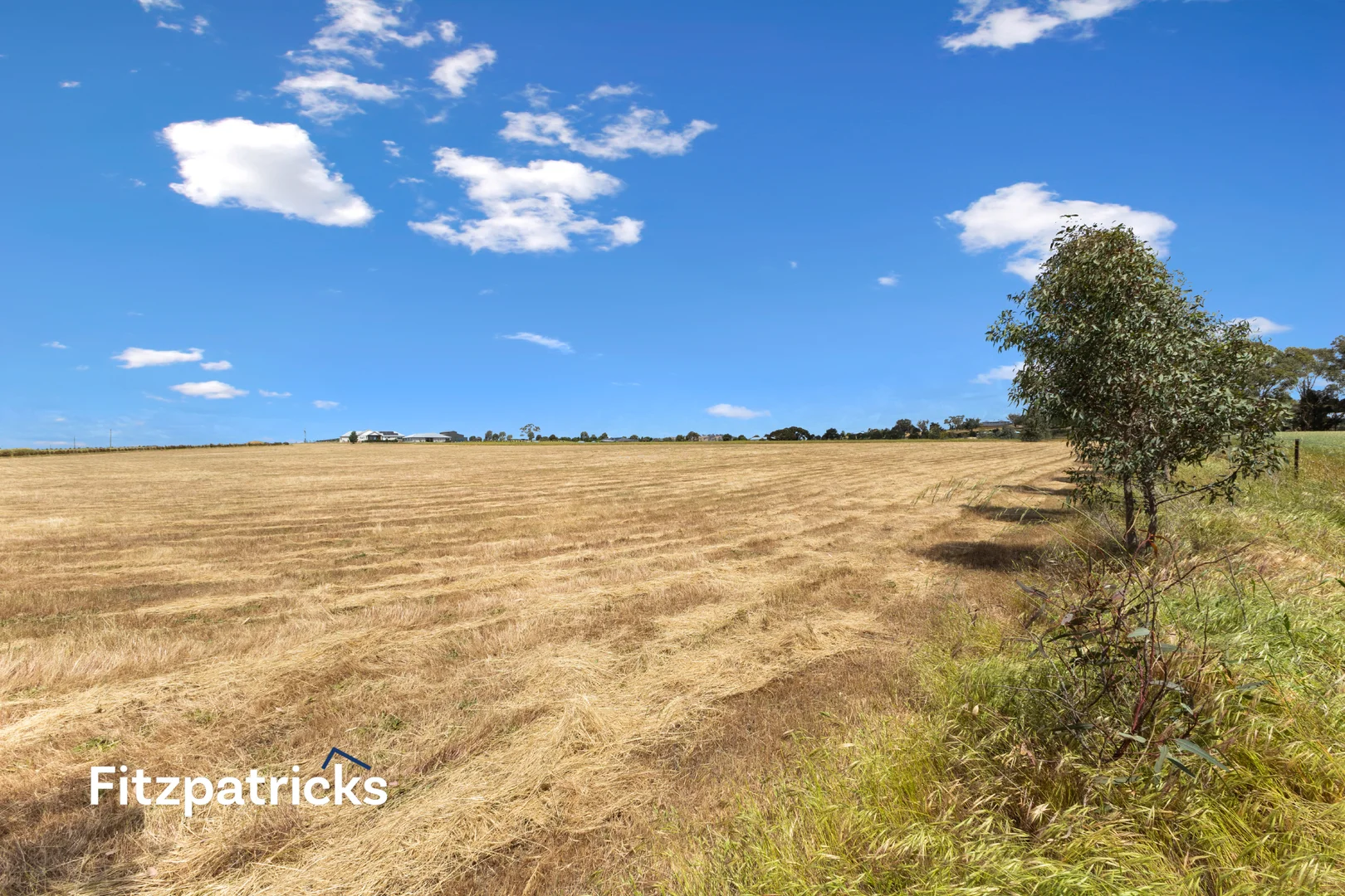 Additional image 9 of 139 Butterbush Road, Gregadoo NSW 2650