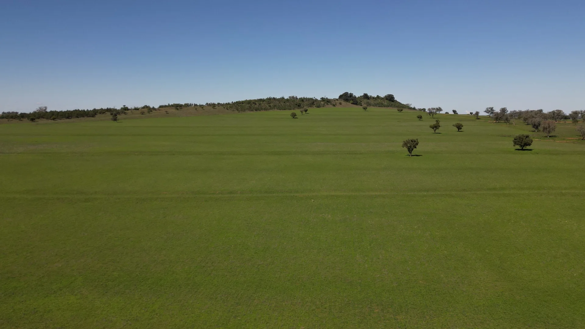 Additional image 19 of 450 Bridges Road, Gunnedah NSW 2380