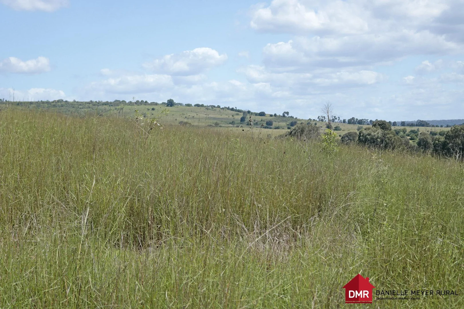 Additional image 6 of 205 Dempsters Road,, Binjour QLD 4625