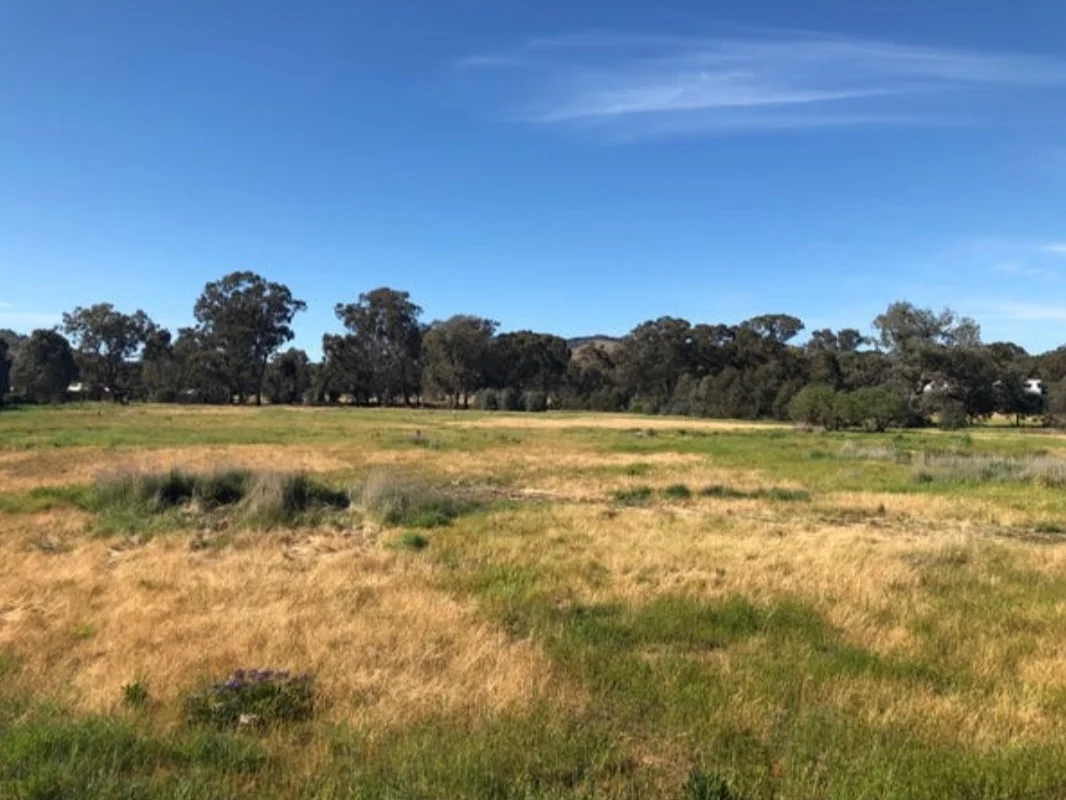 Additional image 9 of 73 Murray Street, Violet Town VIC 3669