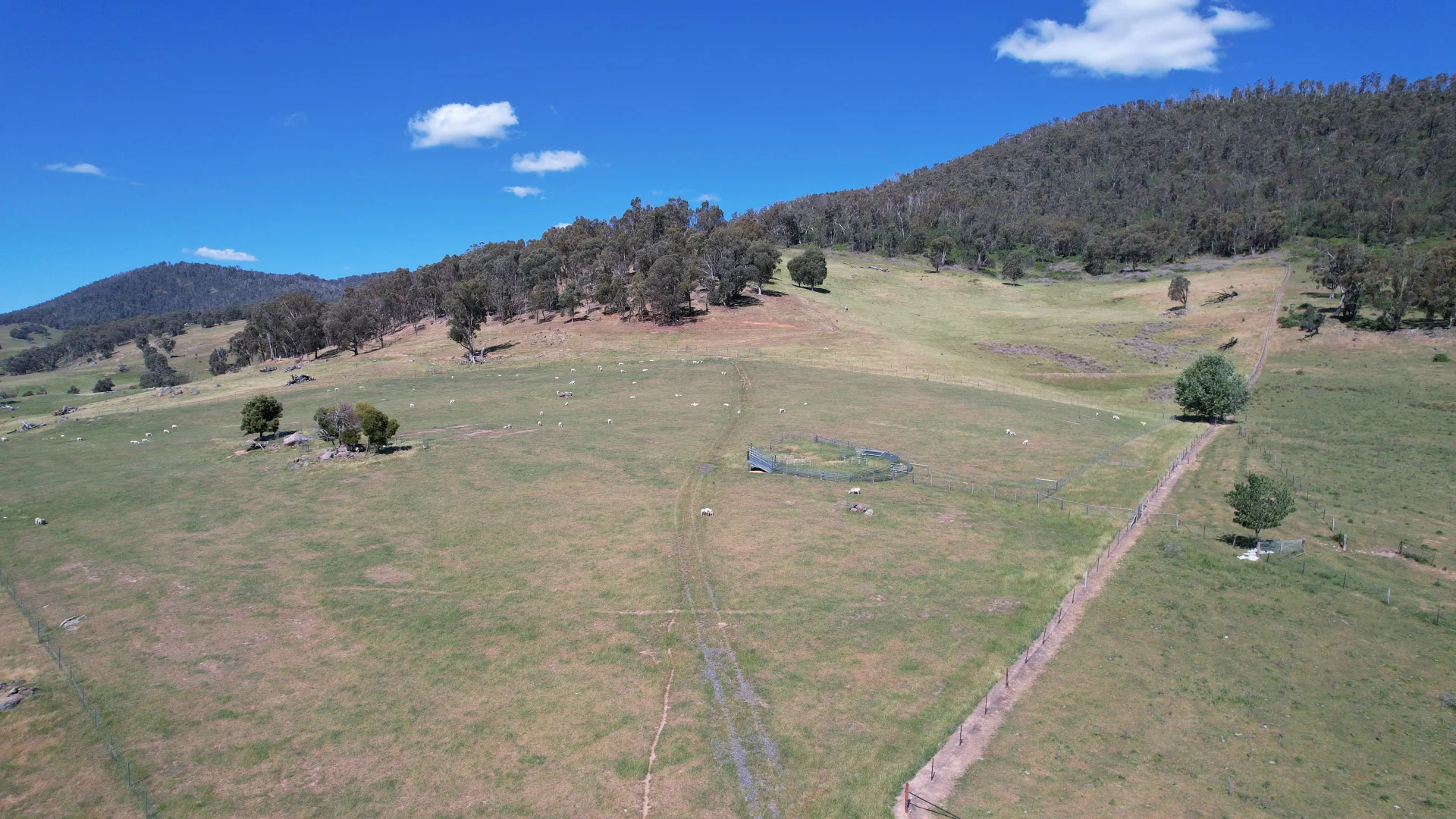 Additional image 3 of 580 Batlow Road, Tumbarumba NSW 2653