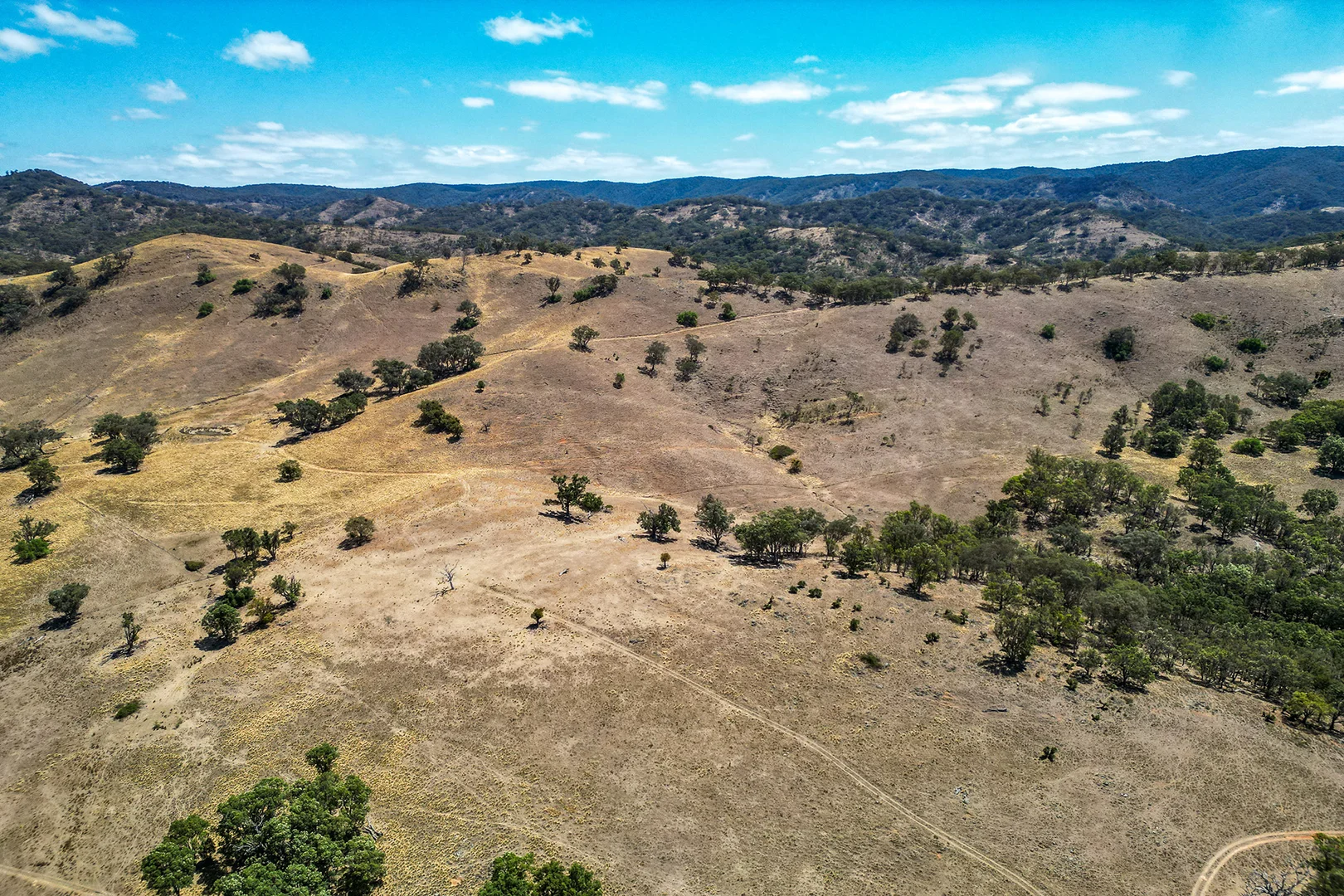 Additional image 10 of 856 Spring Flat Road, Spring Flat NSW 2850