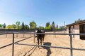 Additional image 41 of 16030 Strebor Dr, Bakersfield, CA, 93314