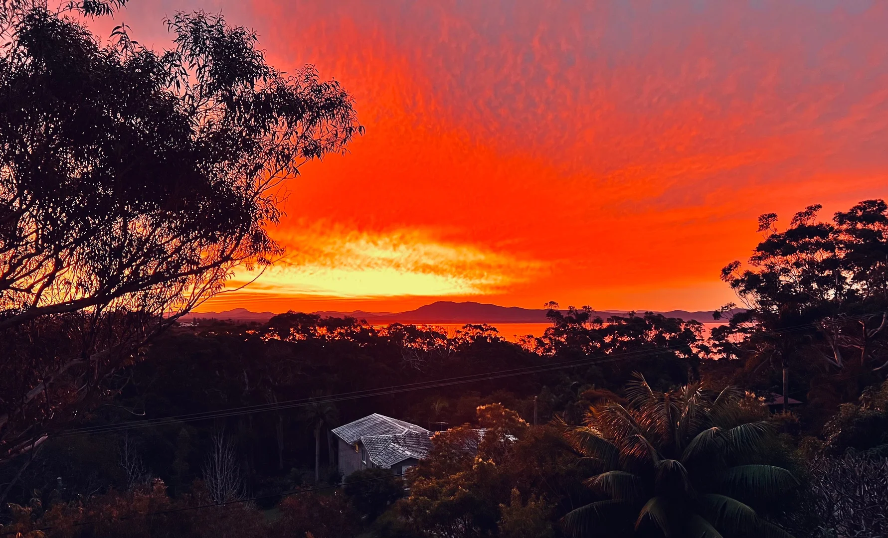 Additional image 25 of 80 Cardwell Street, Arakoon NSW 2431