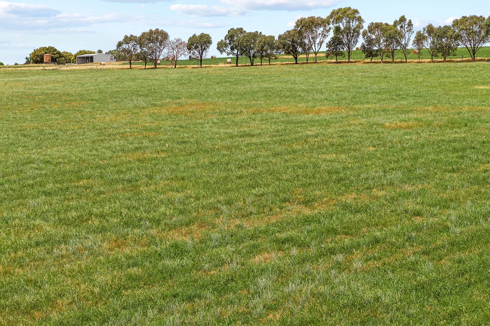 Additional image 20 of 215 Holman Road, Murrumburrah NSW 2587