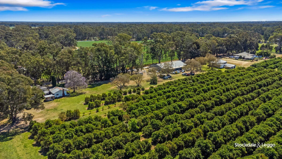 Additional image 5 of 154-198 Torgannah Road, Koonoomoo VIC 3644