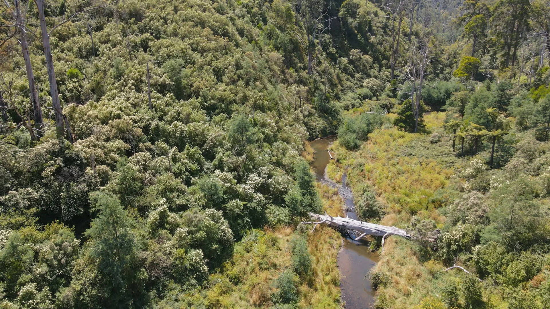 Additional image 12 of 1 Upper Middle Creek Road, Budgeree VIC 3870