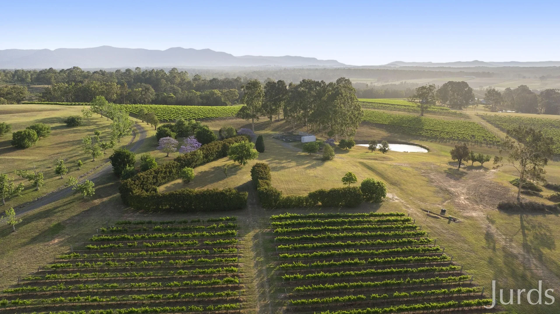 Additional image 29 of 110 Old North Road, Pokolbin NSW 2320