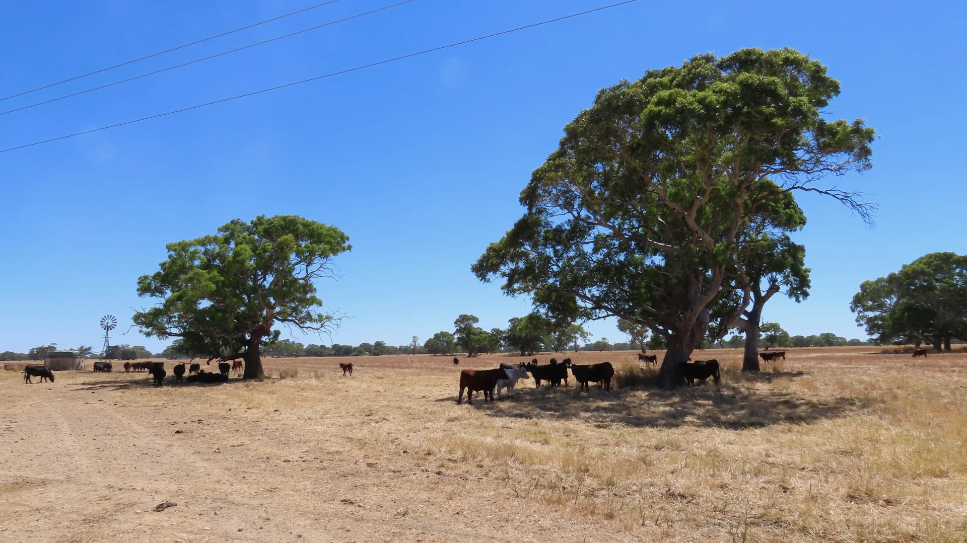 Additional image 16 of 8283 Clay Wells Rd, Penola SA 5277