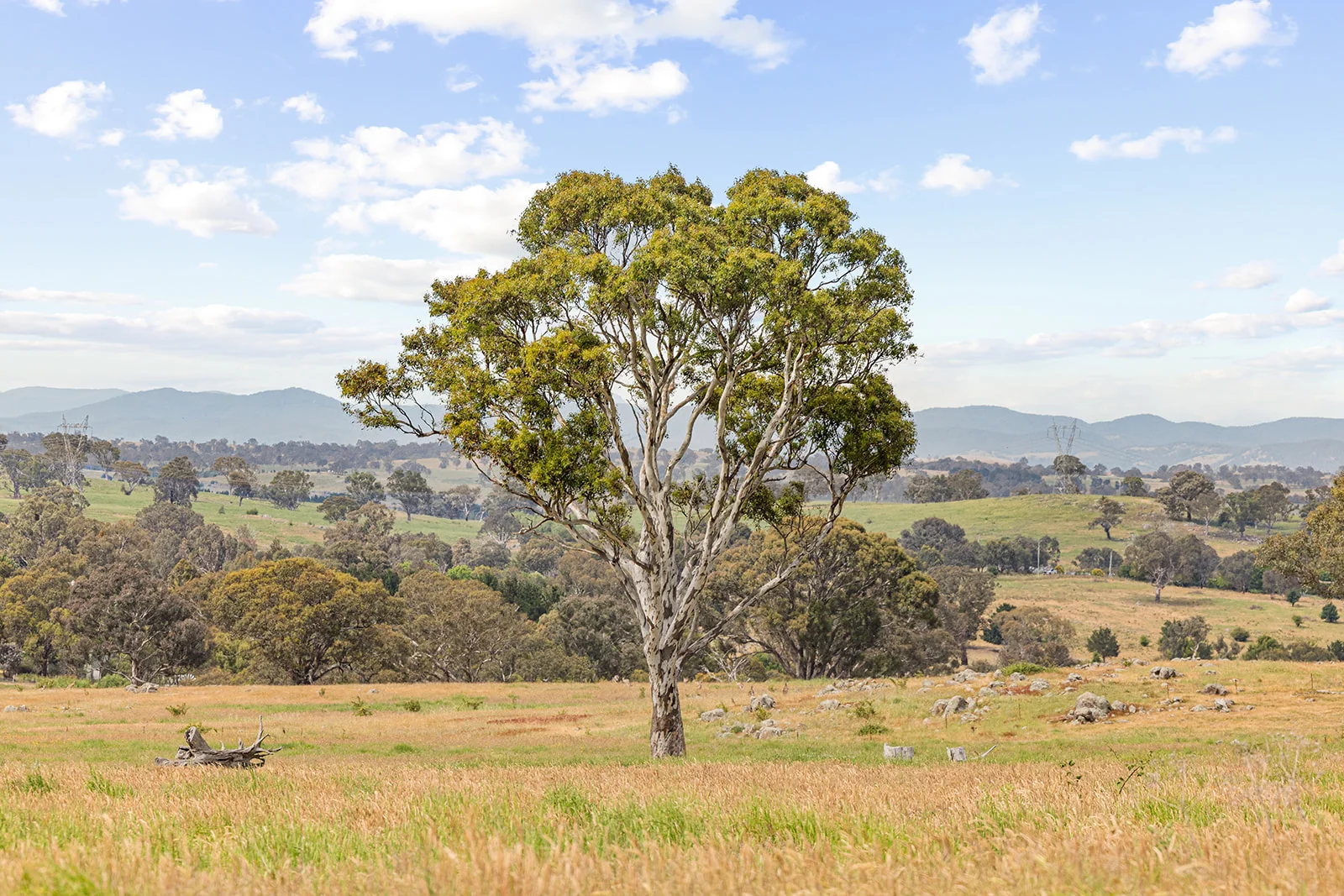 Additional image 8 of 193 Lucernvale Road, Yass NSW 2582
