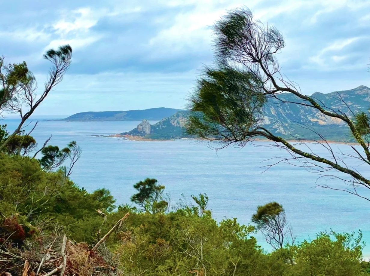 Additional image 2 of . Killiecrankie Road, Killiecrankie TAS 7255