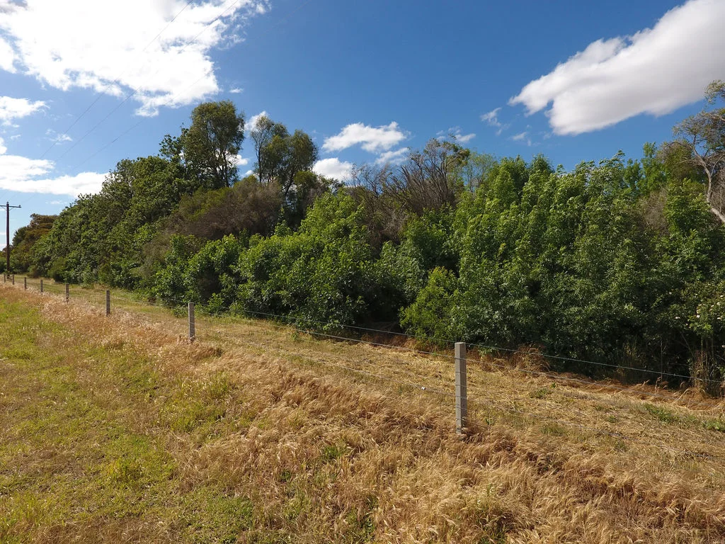 Additional image 28 of 1321 Koondrook Murrabit Road, Myall VIC 3579