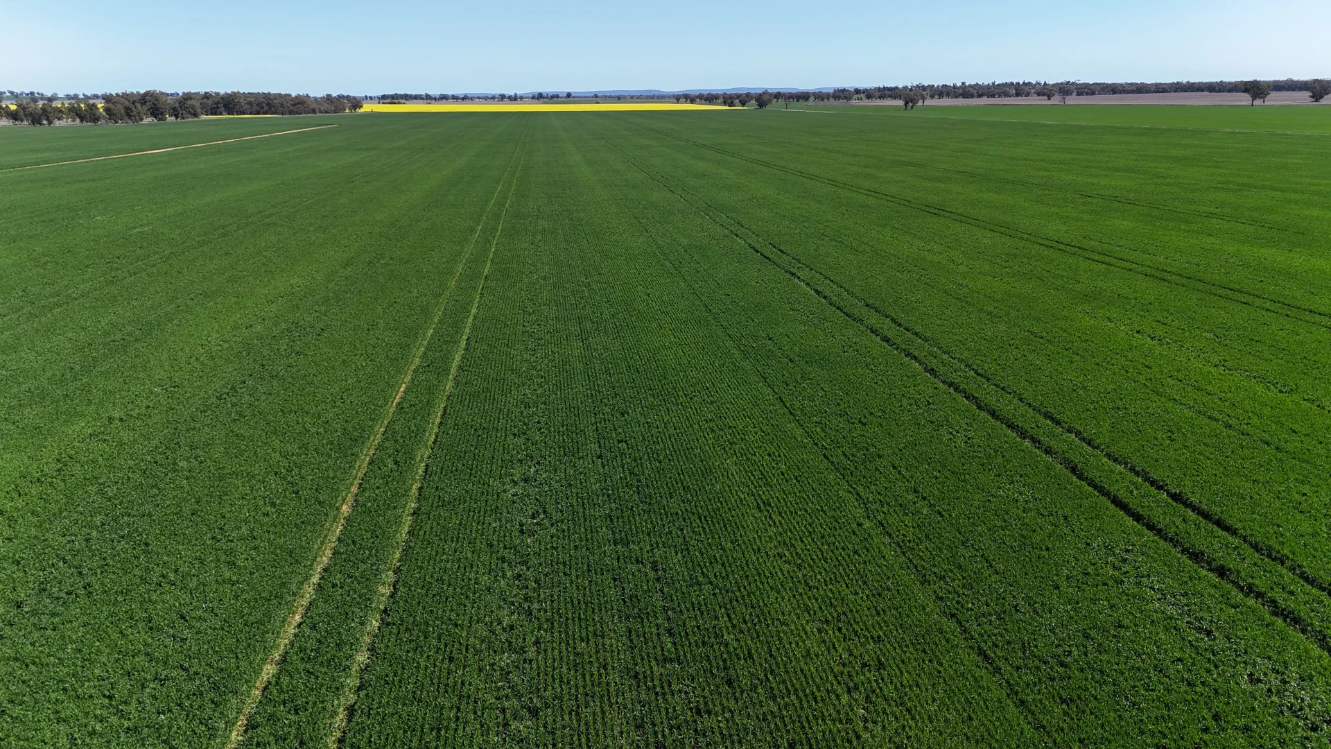 Additional image 9 of 92 Millers Lane, Parkes NSW 2870