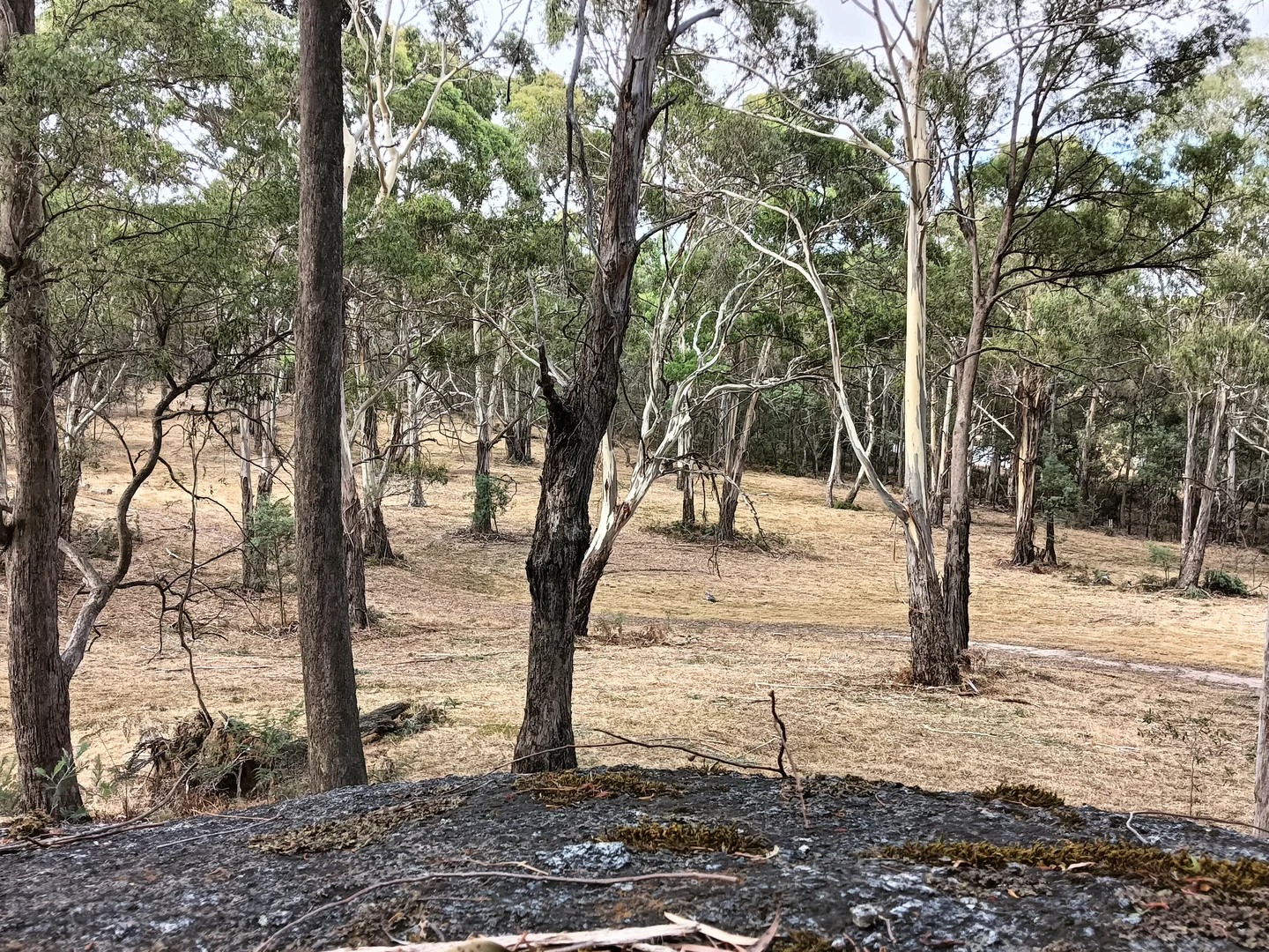 Additional image 26 of Strathbogie VIC 3666