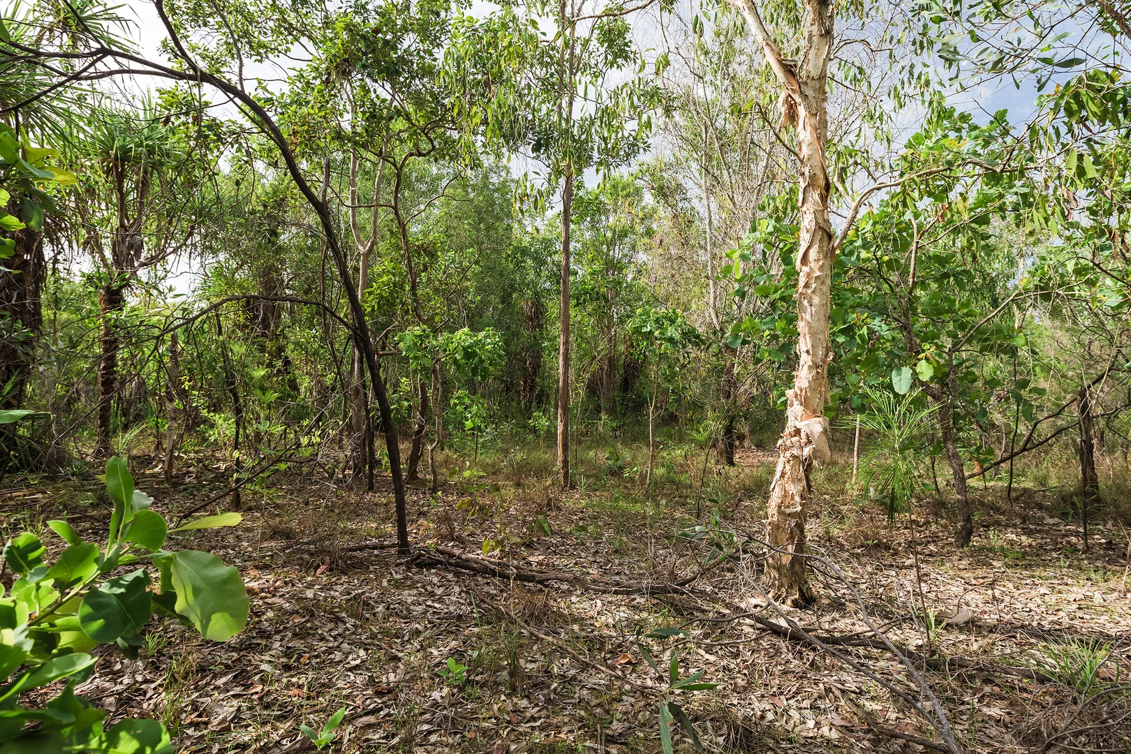 Additional image 16 of 56 Dowling Rd, Virginia NT 0834