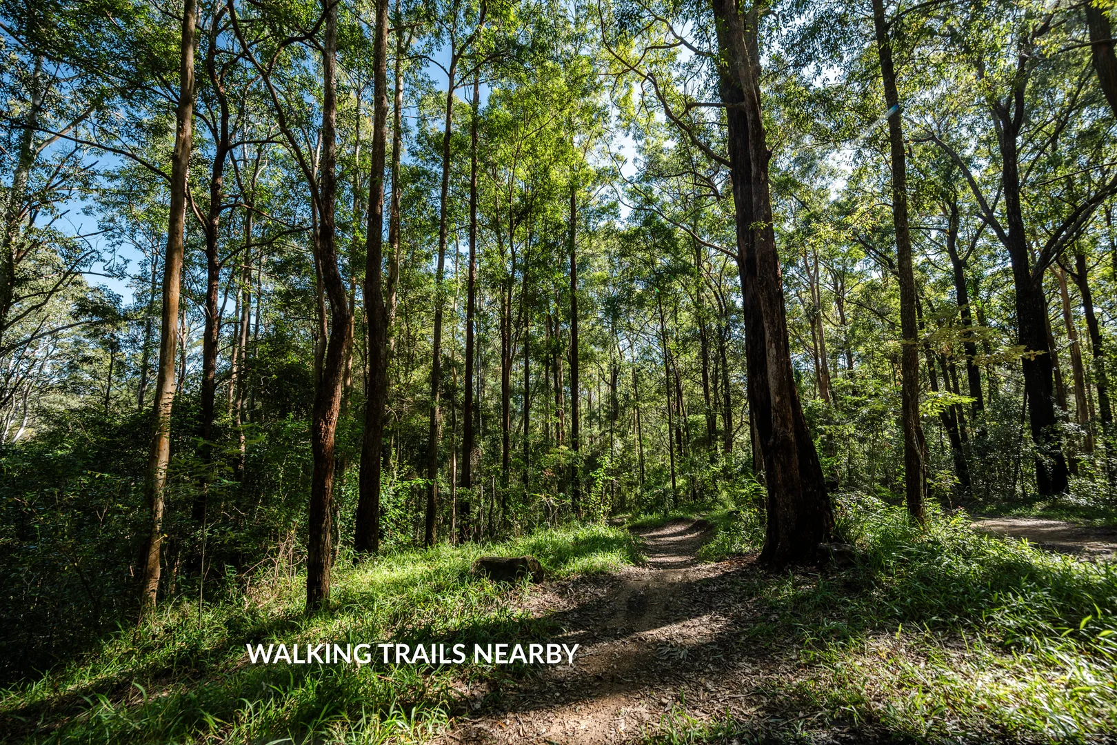 Additional image 10 of 5 Lucas Avenue, Bellingen NSW 2454