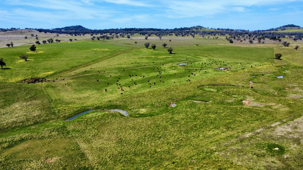 Additional image 3 of Gunnedah NSW 2380