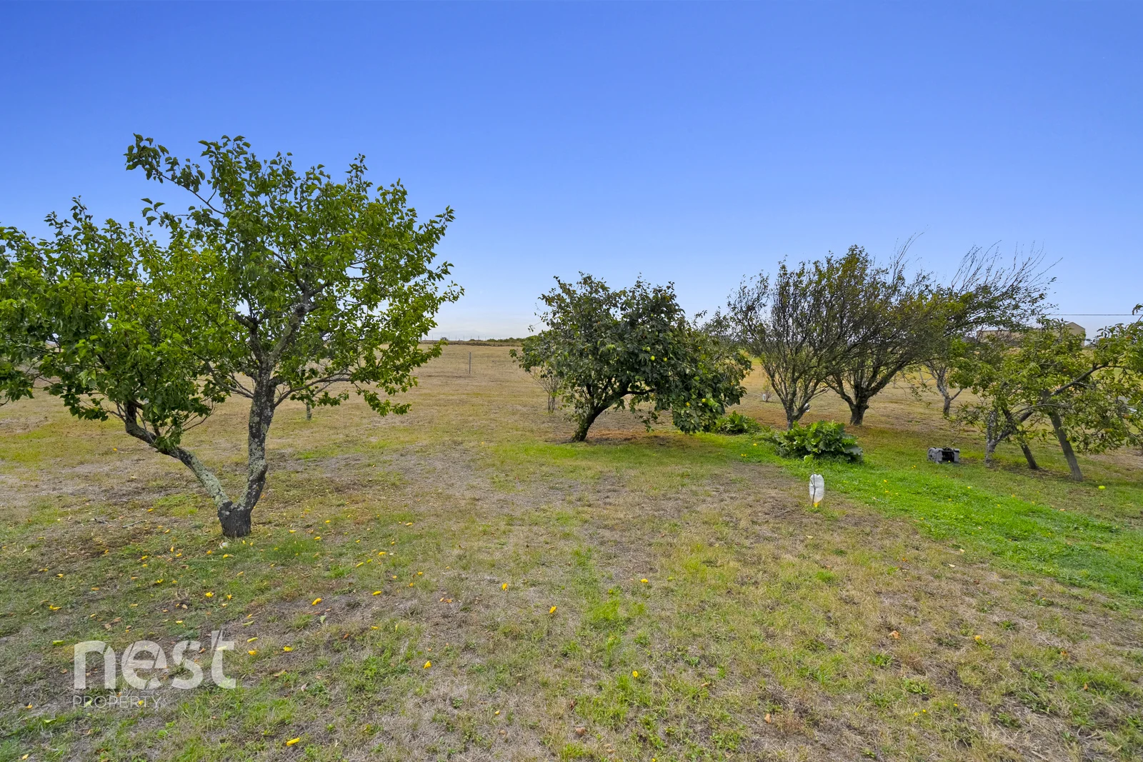 Additional image 16 of 6 Whynyates Street, Oatlands TAS 7120