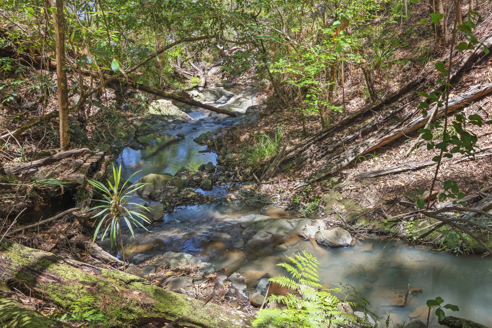 Additional image 4 of 17 Lombok Court, Tamborine Mountain QLD 4272