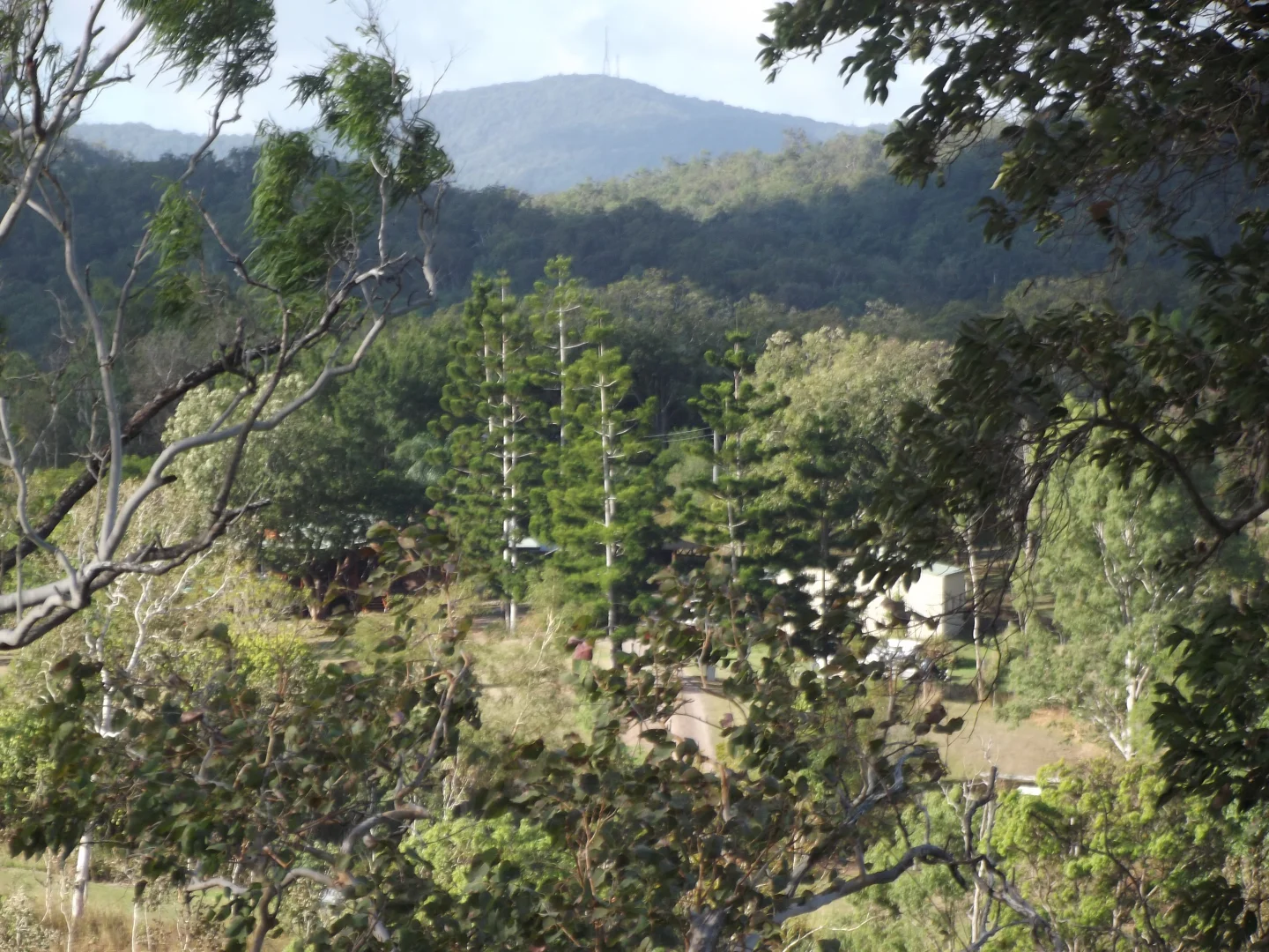 Additional image 2 of 617 Devereux Creek Road, Devereux Creek QLD 4753