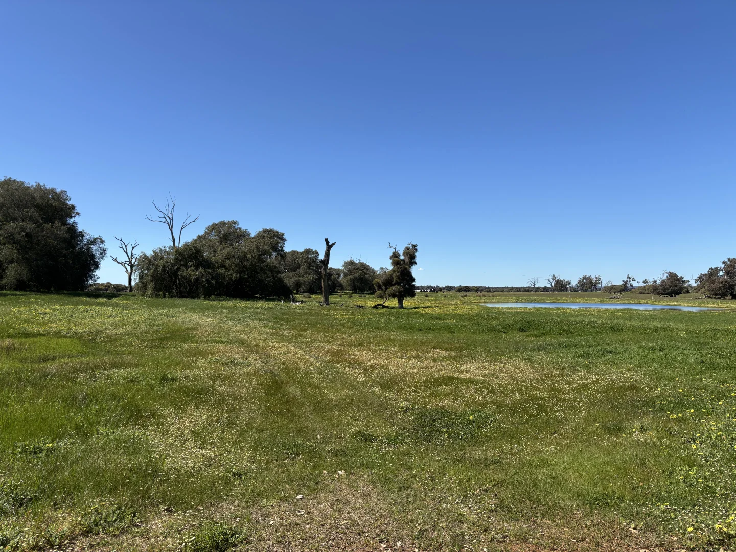 Additional image 4 of Lot 1 Jilley Road, Boyanup WA 6237