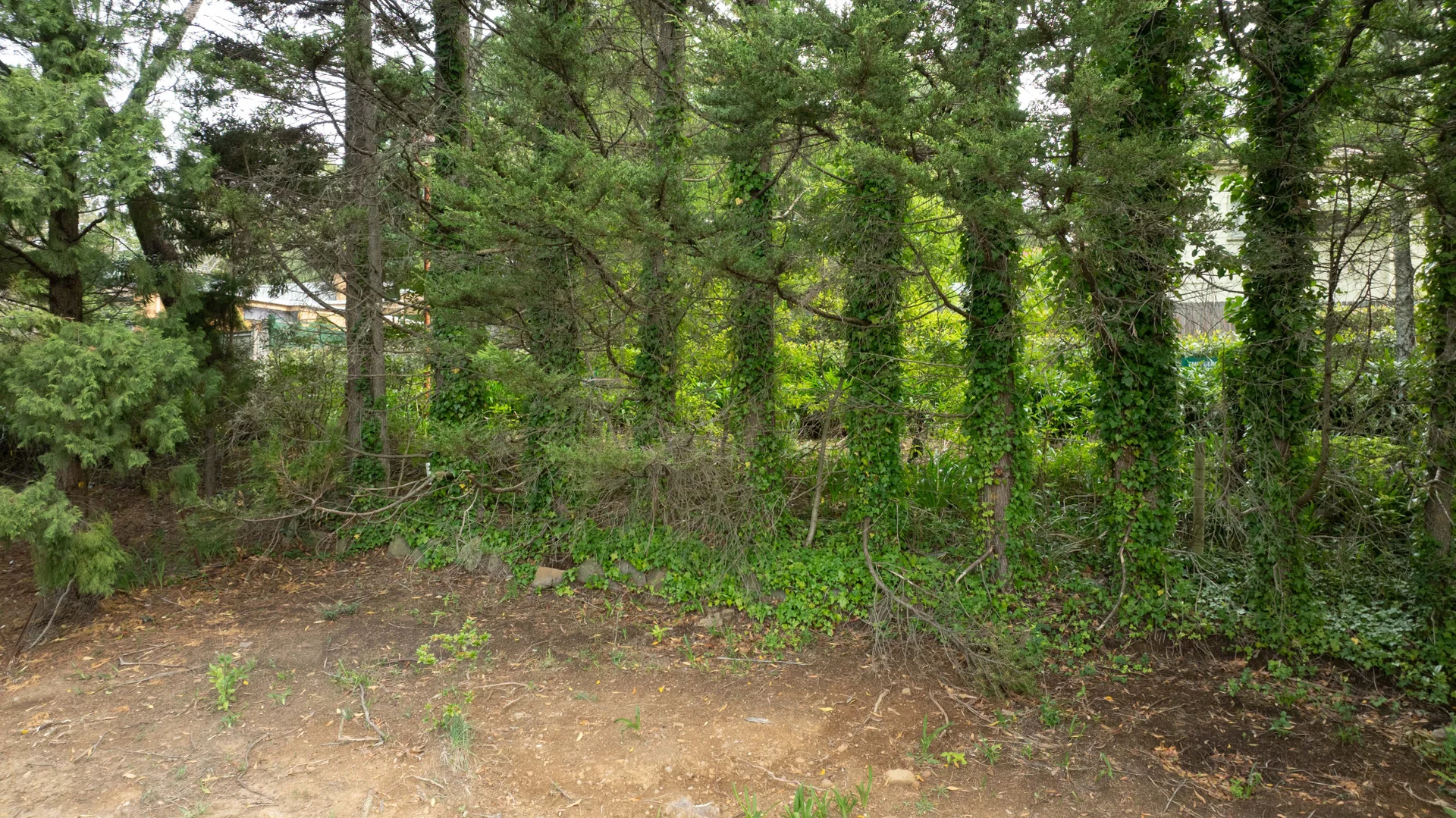 Additional image 4 of 26 Gladstone Road, Leura NSW 2780