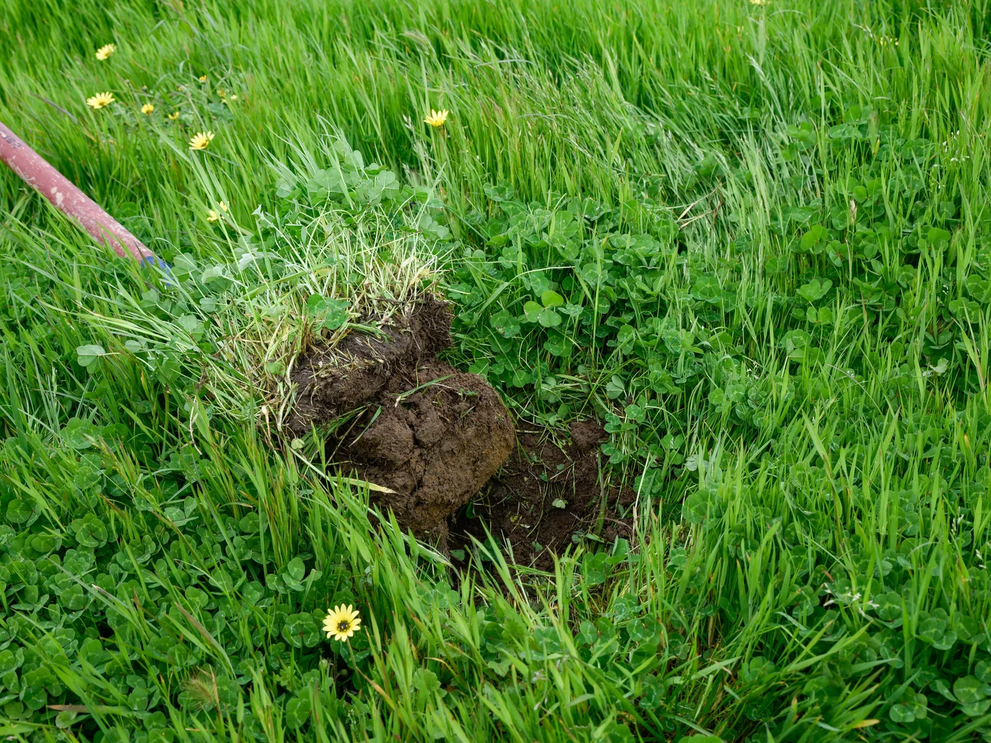 Additional image 28 of Spehrs Road, Nene Valley SA 5291