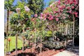 Additional image 35 of 2156 El Molino Pl, San Marino, CA, 91108