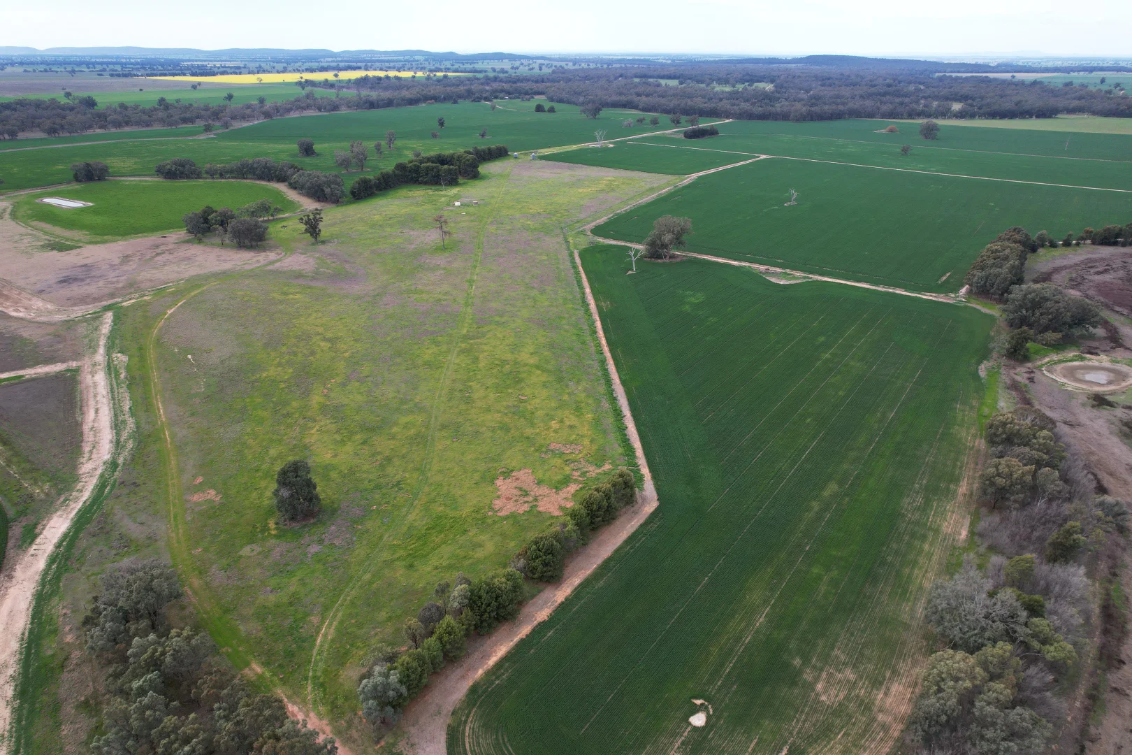 Additional image 7 of 2071 Yarrabandai Road, Bedgerabong NSW 2871