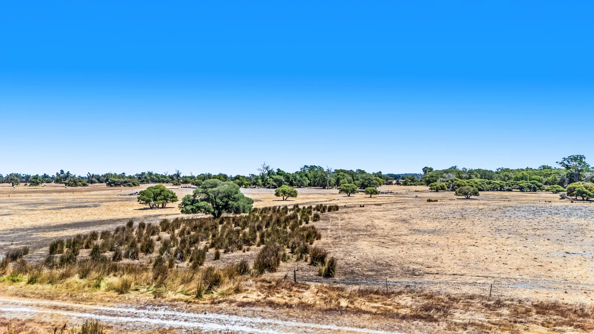 Additional image 28 of Lot 1 Jilley Road, Boyanup WA 6237