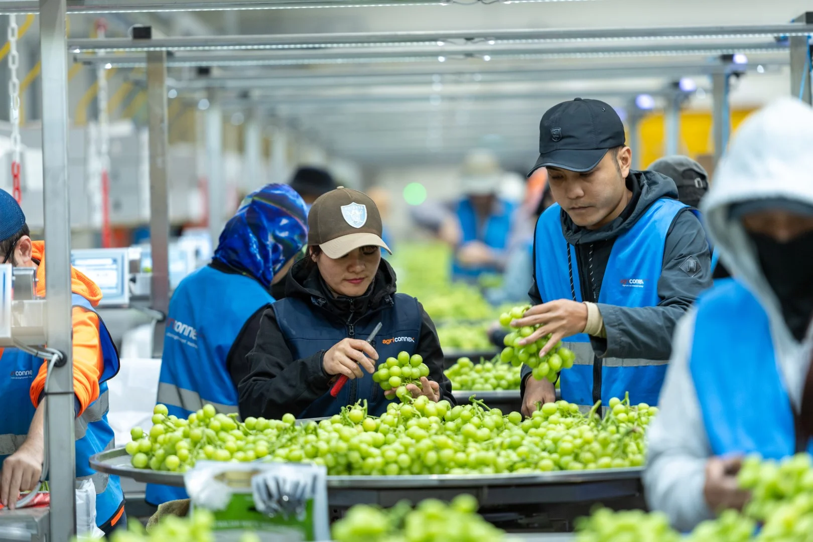 Additional image 2 of 1251 Stanitzki Road, Pike River SA 5340