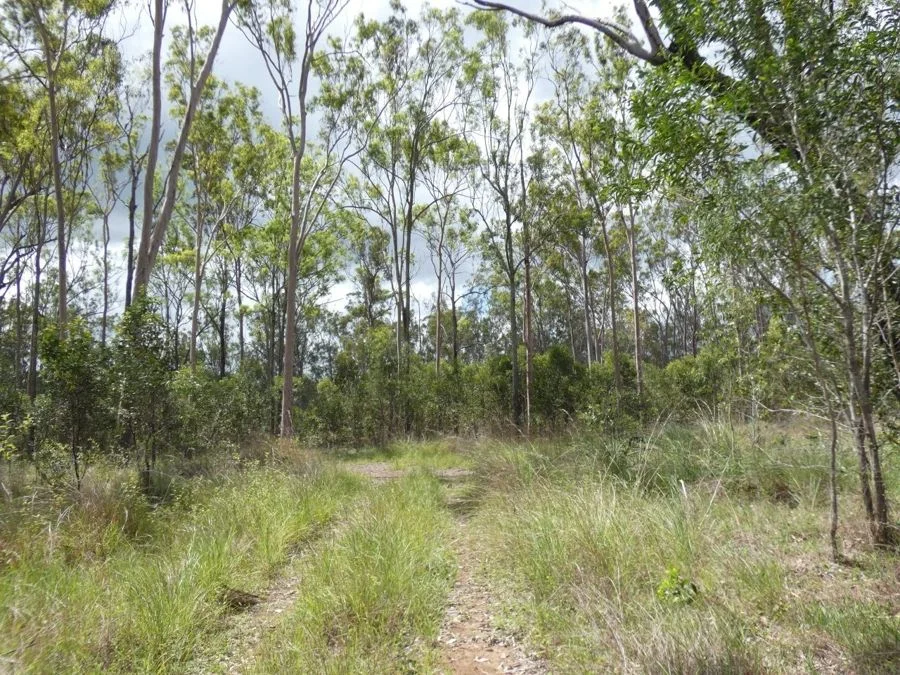 Additional image 6 of 397 Mollenhagens Road, Rosedale QLD 4674