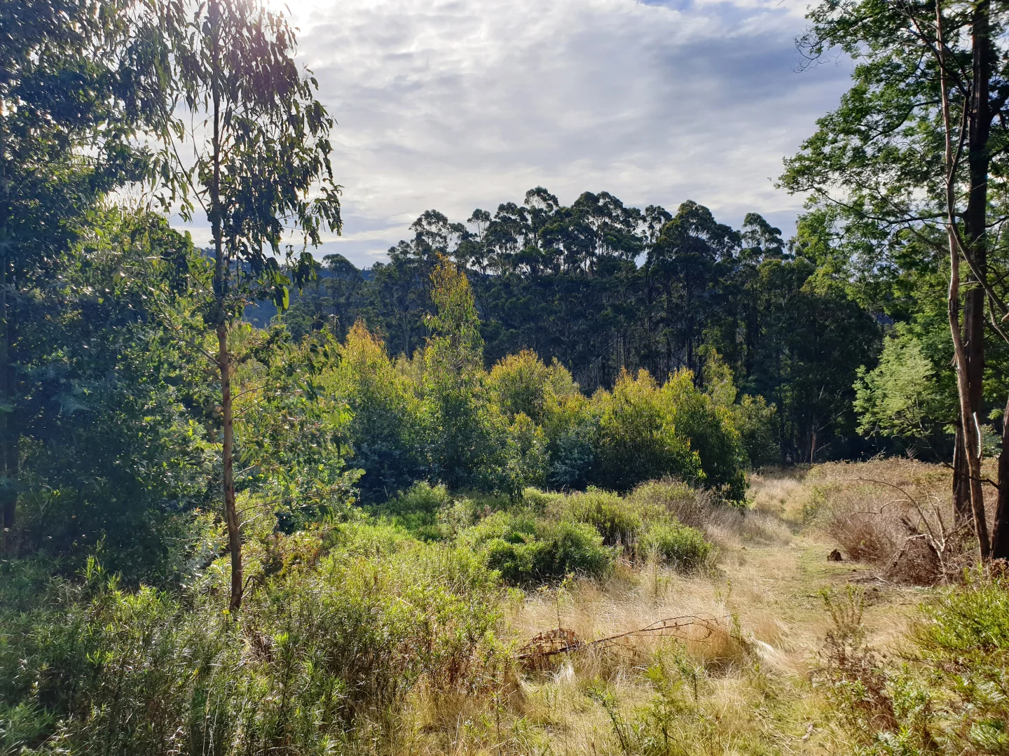 Additional image 6 of Lot 8 Paddys Lane, Franklin TAS 7113