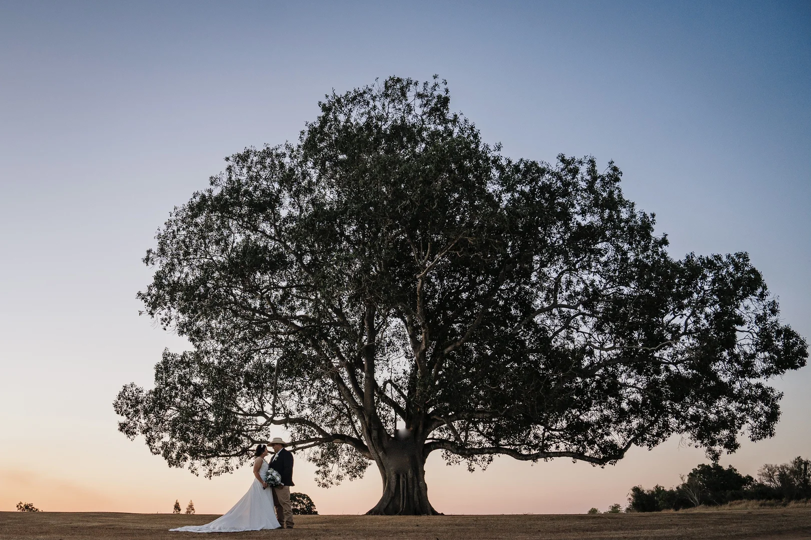 Additional image 31 of 'Figtree Country Retreat' - 70 Petersen Road, Irongate QLD 4356