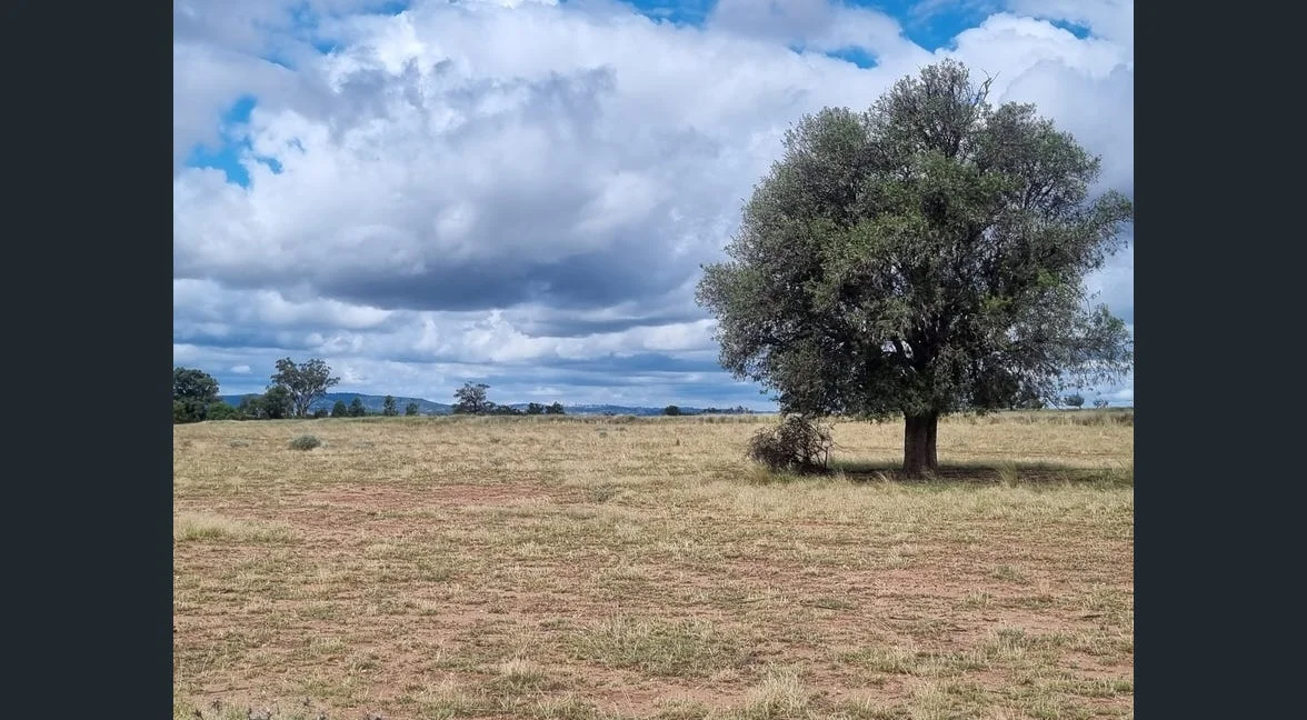 Additional image 13 of Tooraweenah NSW 2817