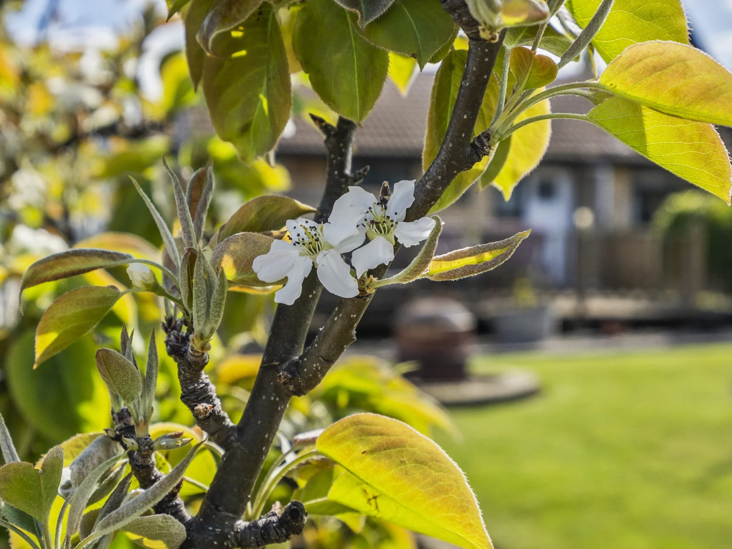 Additional image 25 of 8 Boyle Street, Triabunna TAS 7190