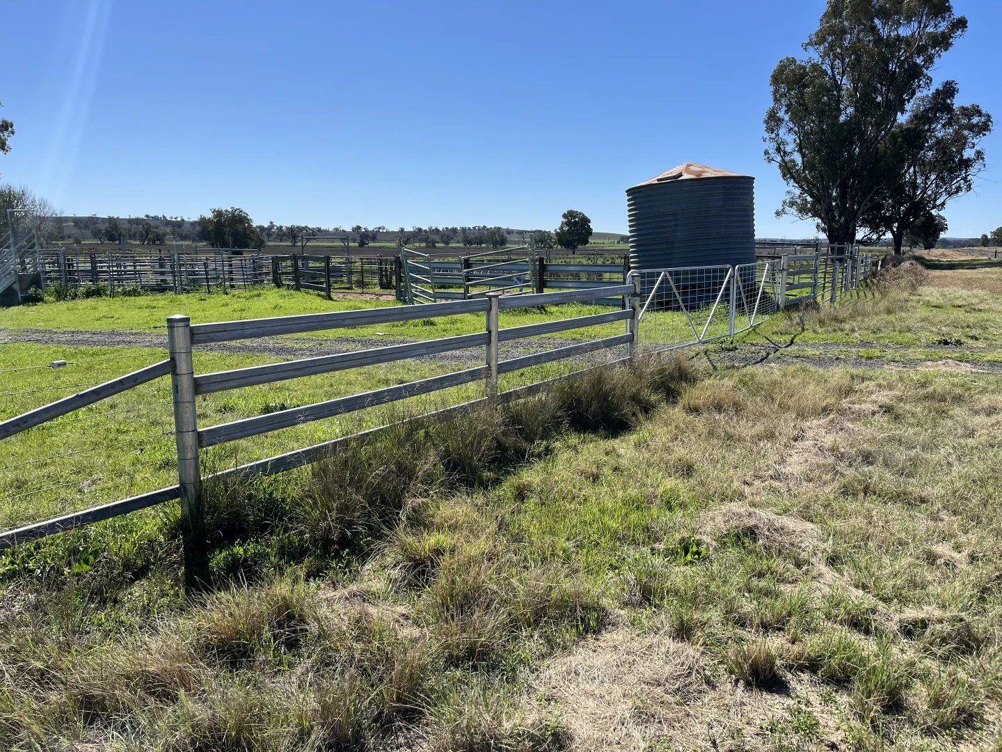 Additional image 35 of "Piambra" 714 Piambra Road, Binnaway NSW 2395