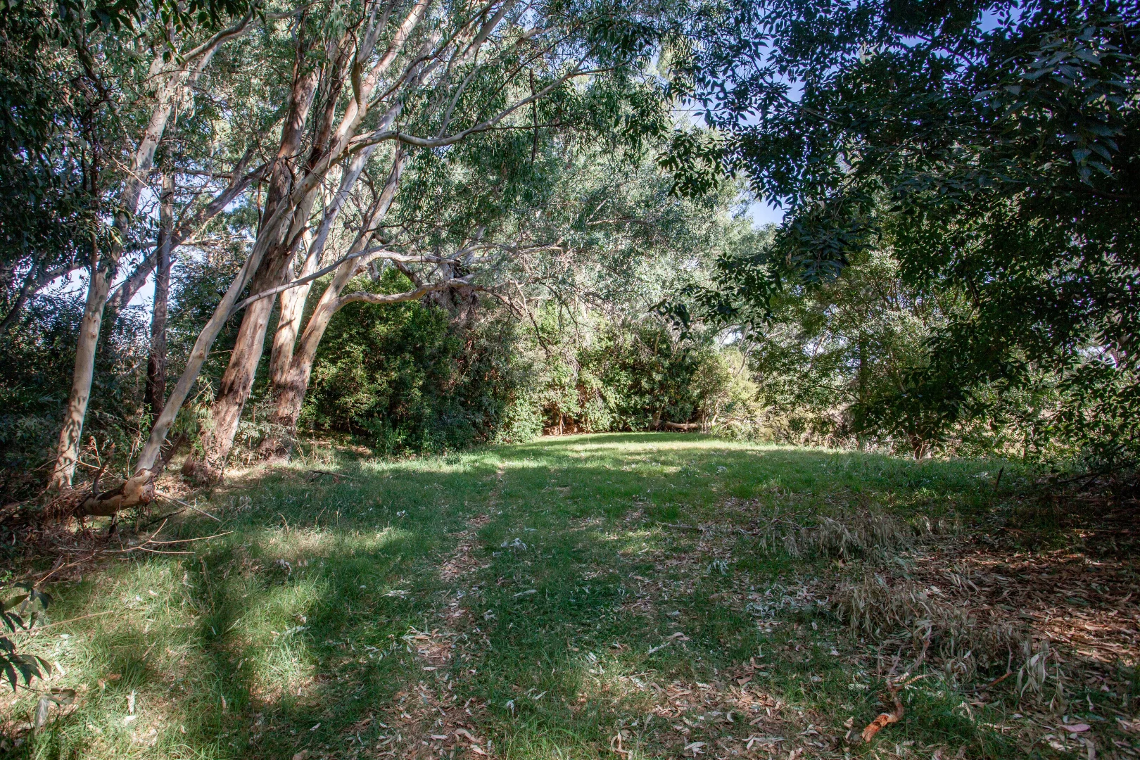 Additional image 17 of 15 Falls Road, Wellington NSW 2820