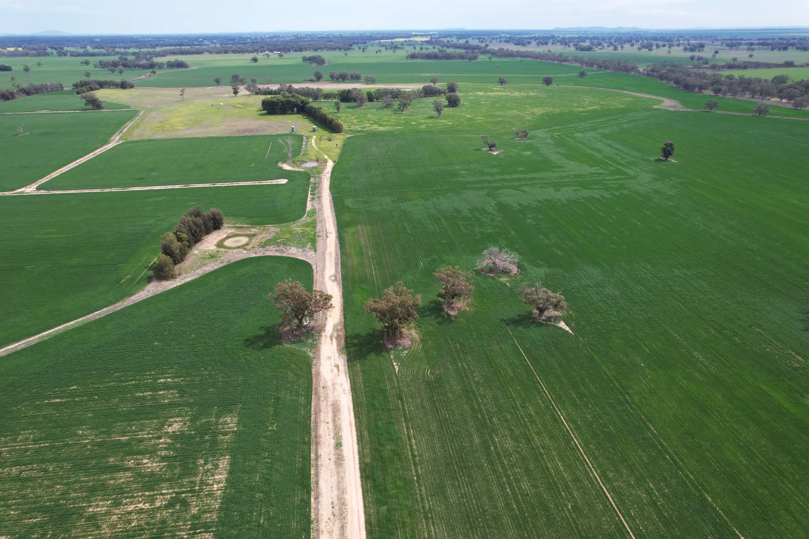 Additional image 6 of 2071 Yarrabandai Road, Bedgerabong NSW 2871