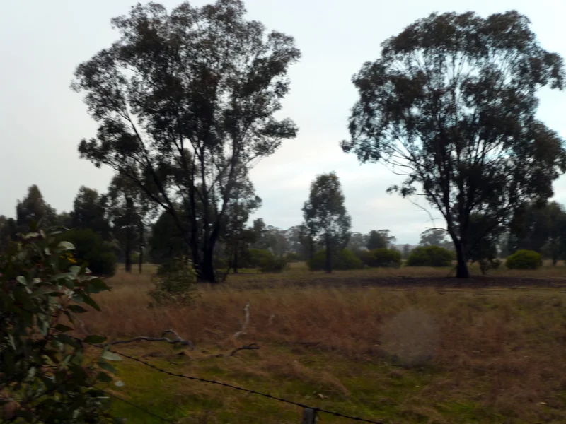 Additional image 14 of Lot 50 Wedderburn Junction East-Fiery Flat Road, Wedderburn VIC 3518