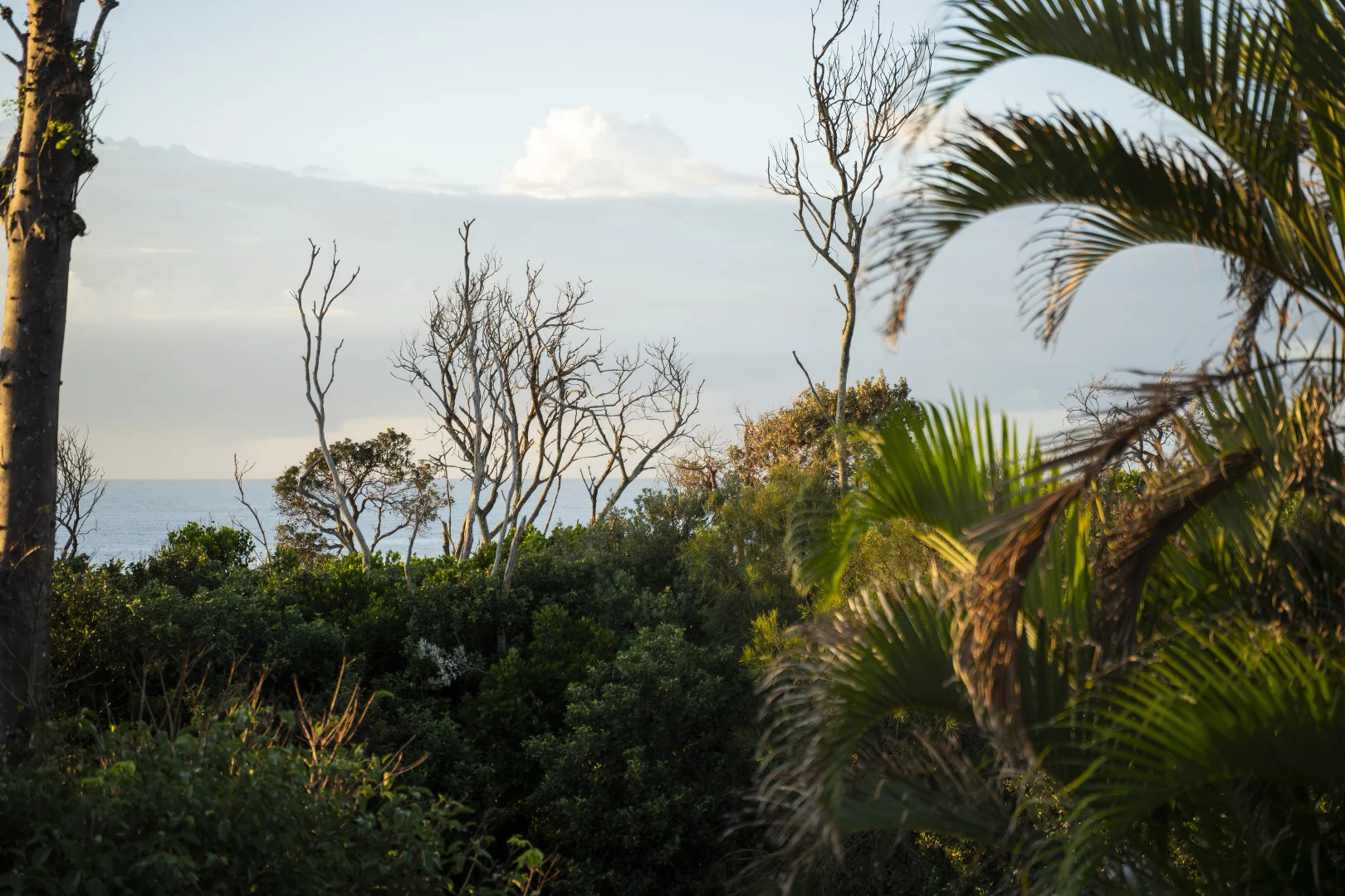 Additional image 20 of 17 Yinneburra Street, Yaroomba QLD 4573