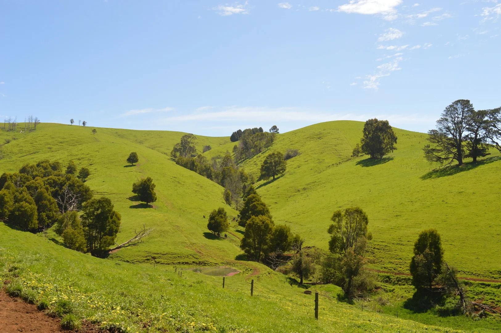 Additional image 26 of 365 Limonite Road, Boolarra South VIC 3870