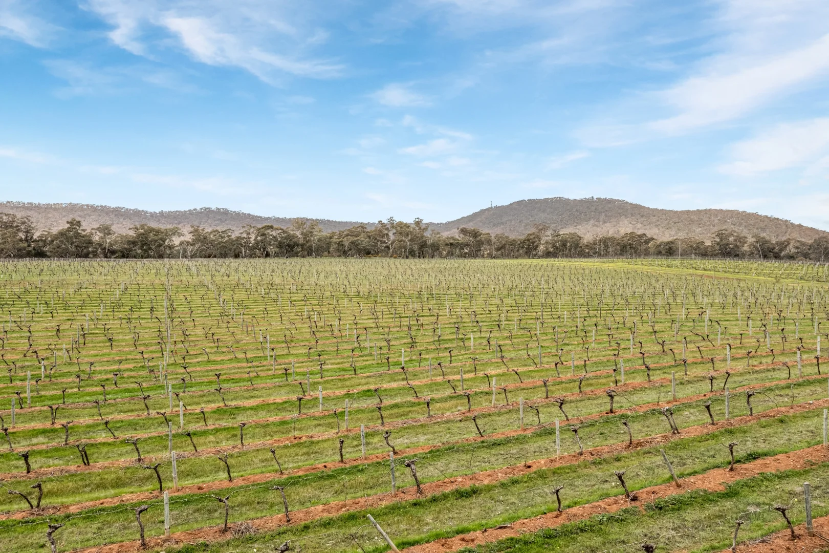 Additional image 5 of 695 Northern Highway, Heathcote VIC 3523